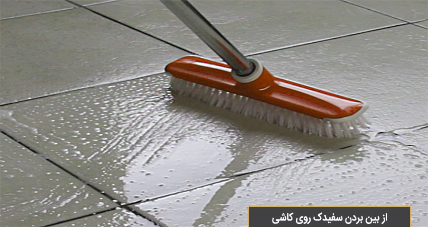 از بین برنده جرم و شوره ها پاک کننده ساختمانی PX900
